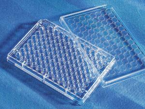 96 well microplate, clear
