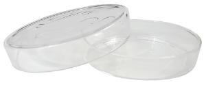 Petri dish 100 mm diameter