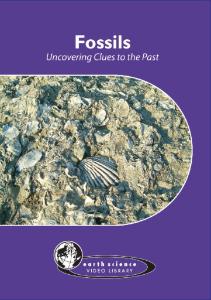 Fossils: Uncovering Clues to the Past DVD