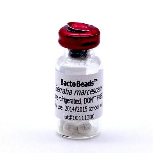Bactobeads™ <i>Serratia marcescens</i>