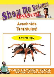 Show Me Science: Arachnids–Tarantula! Video