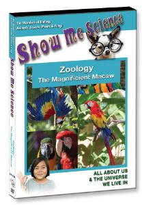 Show Me Science: Zoology–The Magnificent Macaw Video