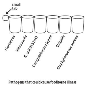 Science Take-Out® A Case Of Food Poisoning