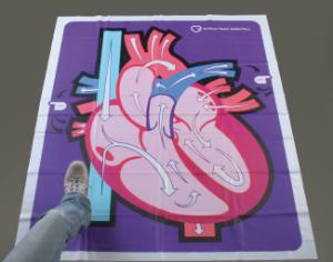 Human Heart Walk-Thru