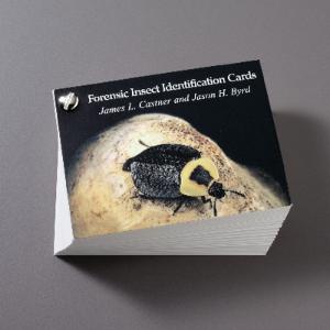 Forensic Insect Identification Cards