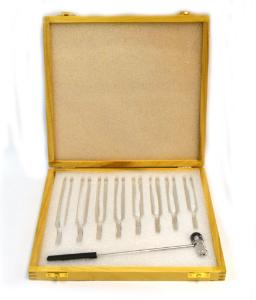 Aluminum Tuning Fork, Set with Hammer