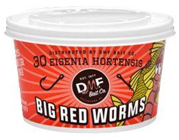 Red worms cup of 18