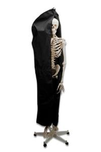 Skeleton Protective Cover-Black