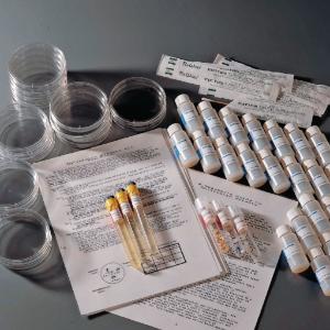 Ward's® Antibiotic Effects Lab Activity