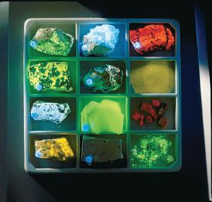Introductory Fluorescent Mineral Collection