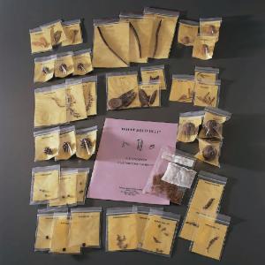 Seed Identification Kit