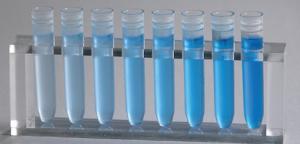 Assays for Protein Quantification Kit