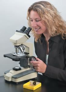 Bacteria Prepared Microscope Slides