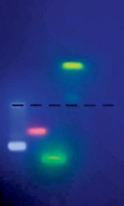Case of the Invisible Bands DNA Simulation