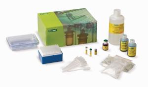 Comparative Proteomics Kits