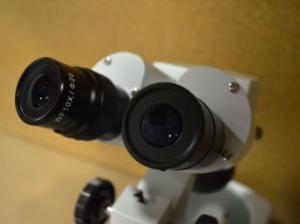 Stereo Microscope, 1X, 3X