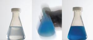 Ward's® Chemistry Blue Bottle Reaction Demonstration