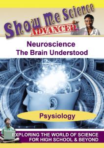Video neuroscience the brain understood