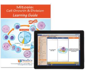 Guide, mitosis W online lesson
