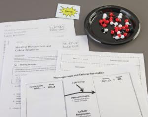 Science Take-Out® Modeling Photosynthesis And Cellular Respiration