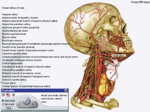 Anatomytrainer™ CD-ROM