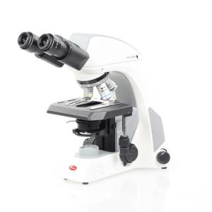 Panthera U Binocular Microscope