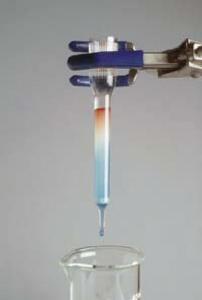 Ion Exchange Chromatography Activity Kit