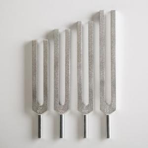 Alloy Tuning Fork Sets