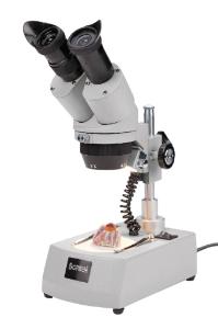 Boreal Science Student Stereomicroscopes