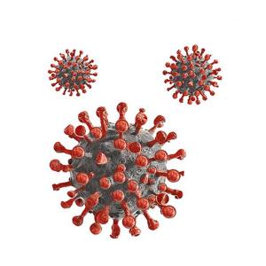 Corona viral cells