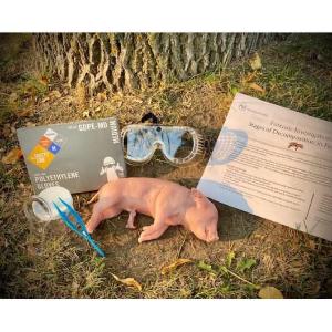 Forensic investigation decomposition of a fetal pig