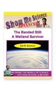 Show Me Science: The Banded Stilt