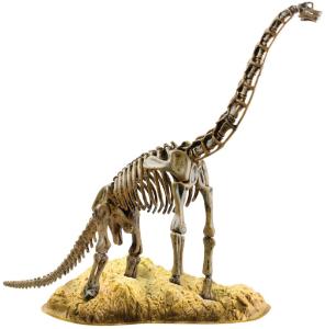 Brachiosaurus Skeleton