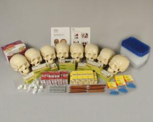 KIMSeattle Forensic Facial Reconstruction Kit