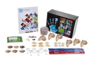 Dichotomous key and observation kit