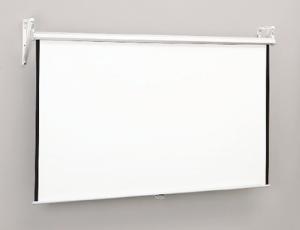 Pull-Down Wall Projection Screens, Series 65