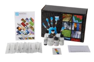 Introduction to enzymes, lab activity kit