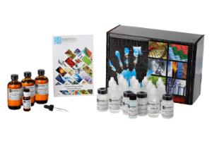 Advanced enzymology lab activity kit