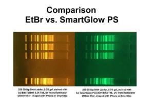 SmartGlow™ safe green pre stain
