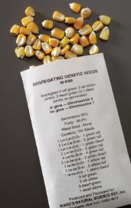 Genetic Ratio Seeds