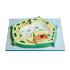 Plant cell model