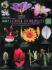Biocam Flower And Fruit Diversity Posters