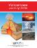 Guide, volcanoes W online lesson