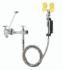 Eyewash System Combination Eyewash/Sink Faucet, Speakman®