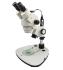 Zoom stereo microscope