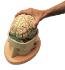Denoyer-Geppert® Brain In Cranium