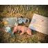 Forensic investigation decomposition of a fetal pig
