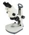 National D-ELS-4 Zoom Stereomicroscope