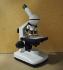 Microscope, Student Cordless 100x