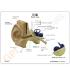 GPI Anatomicals® Basic Ear Model